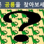 눈썰미테스트