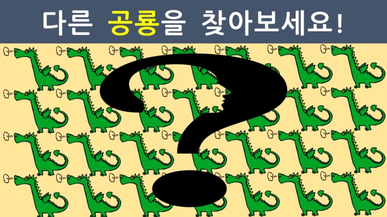 눈썰미테스트