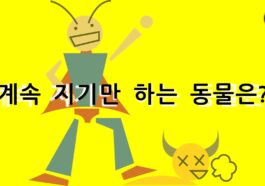 넌센스퀴즈