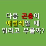 일반상식퀴즈