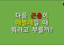 일반상식퀴즈