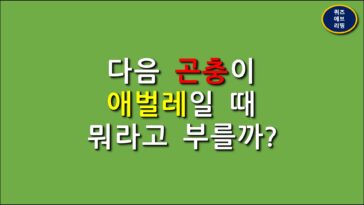 일반상식퀴즈