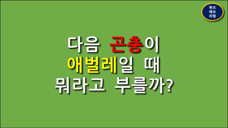 일반상식퀴즈