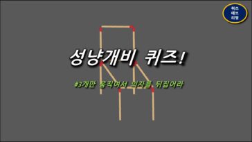 성냥개비퀴즈